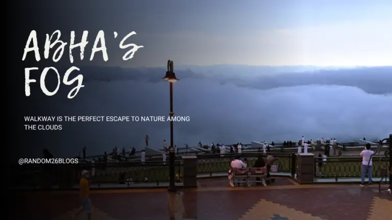 Why-Abhas-Fog-Walkway-is-the-Perfect-Escape-to-Nature-Among-the-Clouds