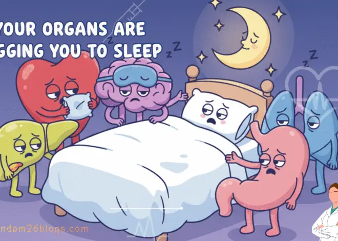 The Organs Begging You to Sleep: Why Deep Rest is Non-Negotiable for Total Body Repair