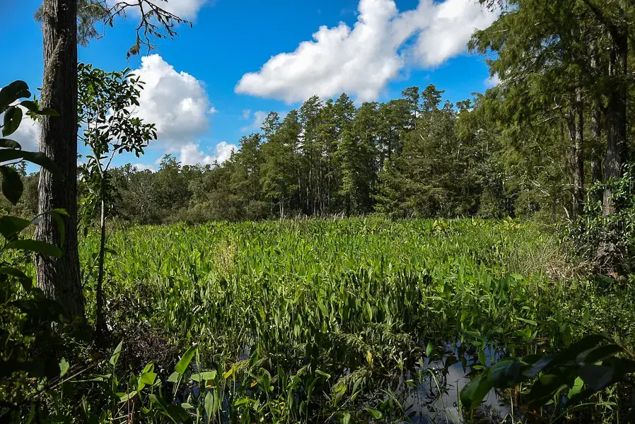 This Hidden Gem Near Naples Is More Peaceful Than A Day At The Beach