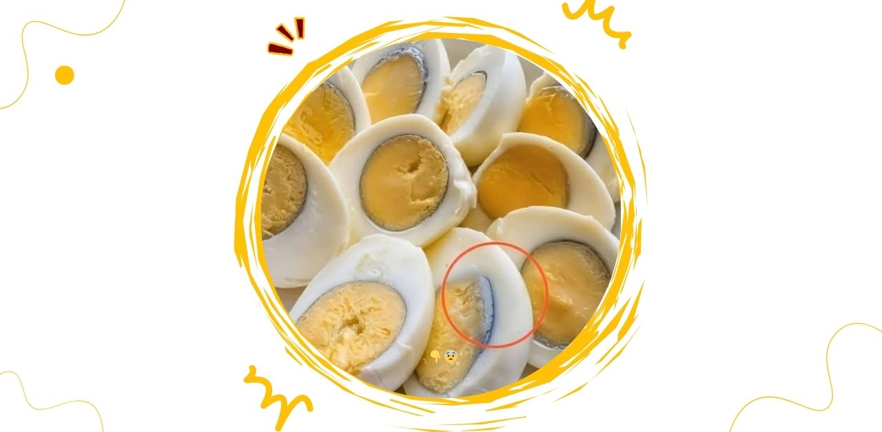 The Green Ring Around Egg Yolks You Need To Know